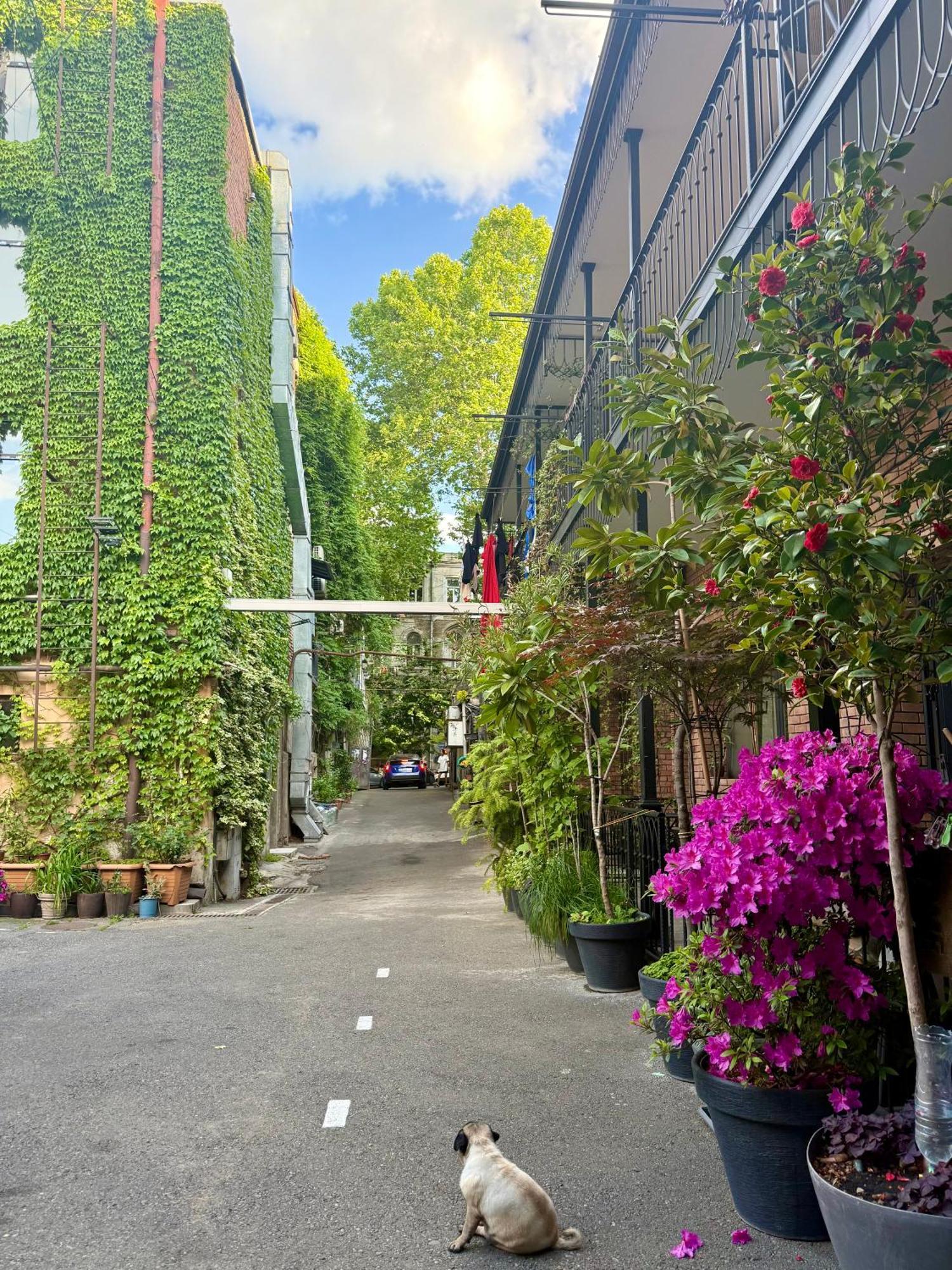 Old Tbilisi Apartments1 エクステリア 写真